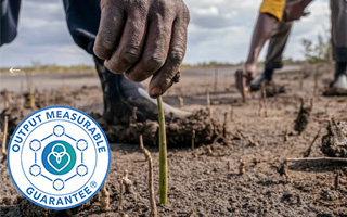 The feedOM kindly ecosystem