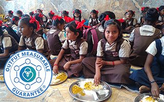 The feedOM kindly ecosystem